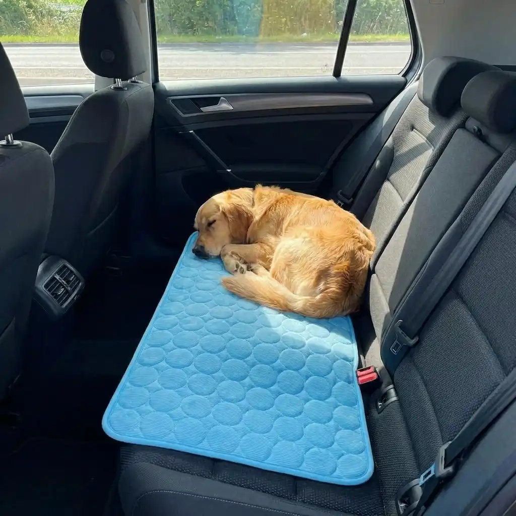 Car rides
